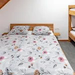 Apartmaji Peternelj Zelezniki