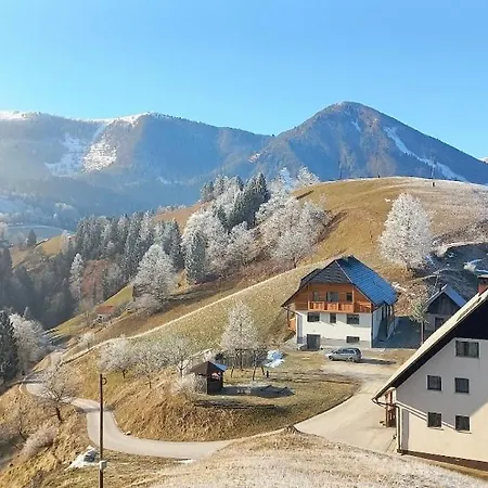 Apartmaji Peternelj Zelezniki